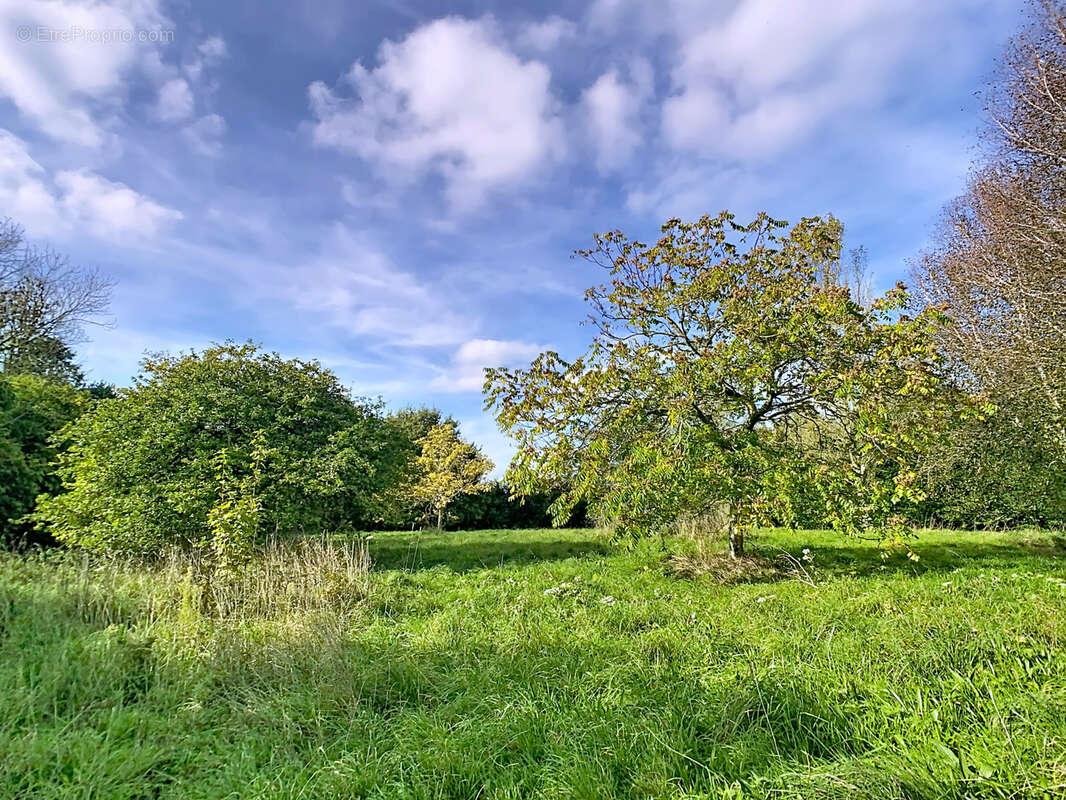 Maison à PICAUVILLE