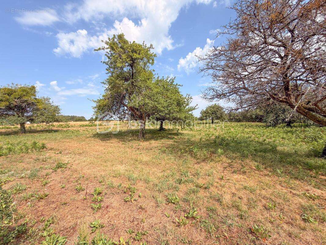 LANDEVANT - Superbe proprieté sur près de 2 hectares de terrain - Piscine - photo 13