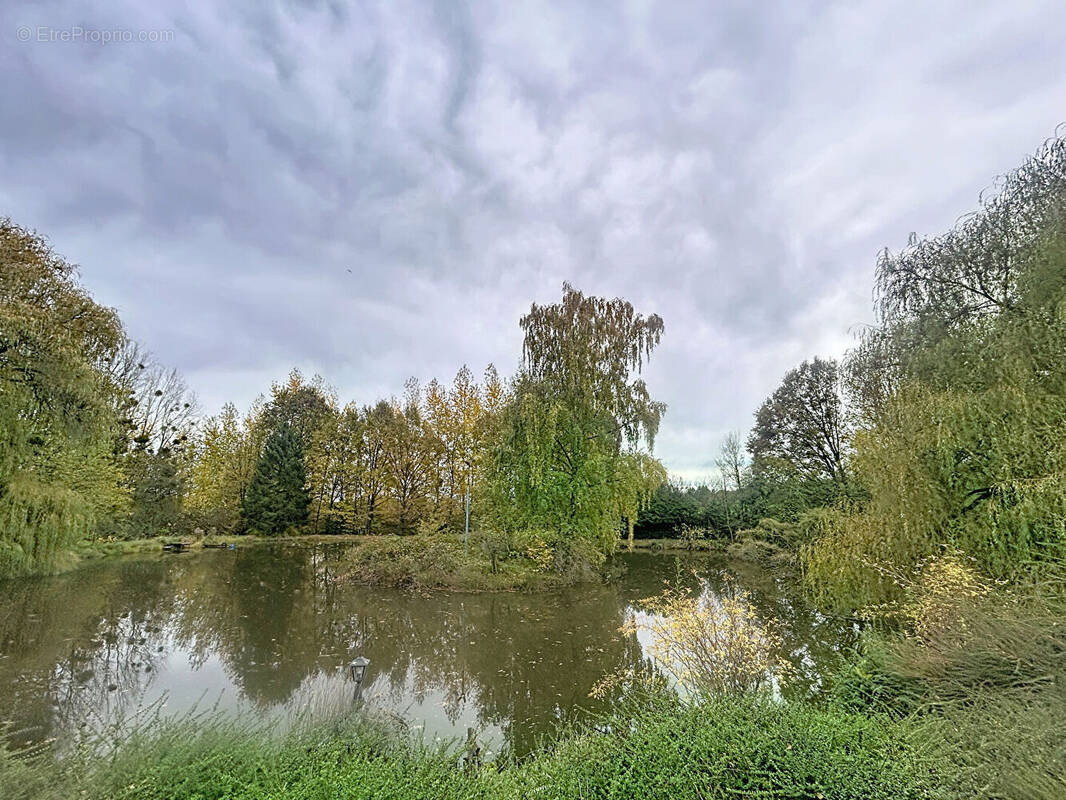Maison à BEFFU-ET-LE-MORTHOMME