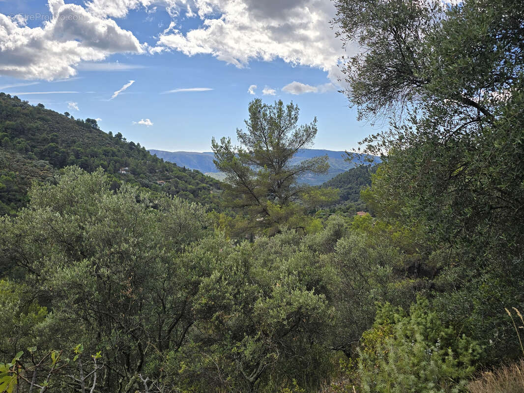 L'escarene - terrain de loisirs 11 440m2 - photo 6