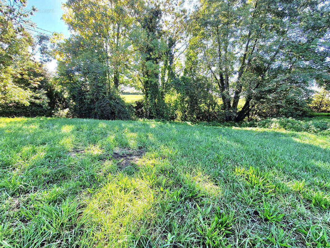 Terrain à SAINT-LOUP