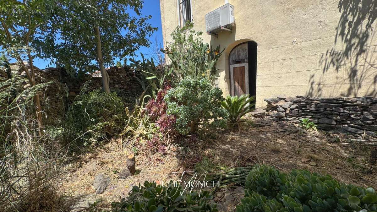 Appartement à BANYULS-SUR-MER