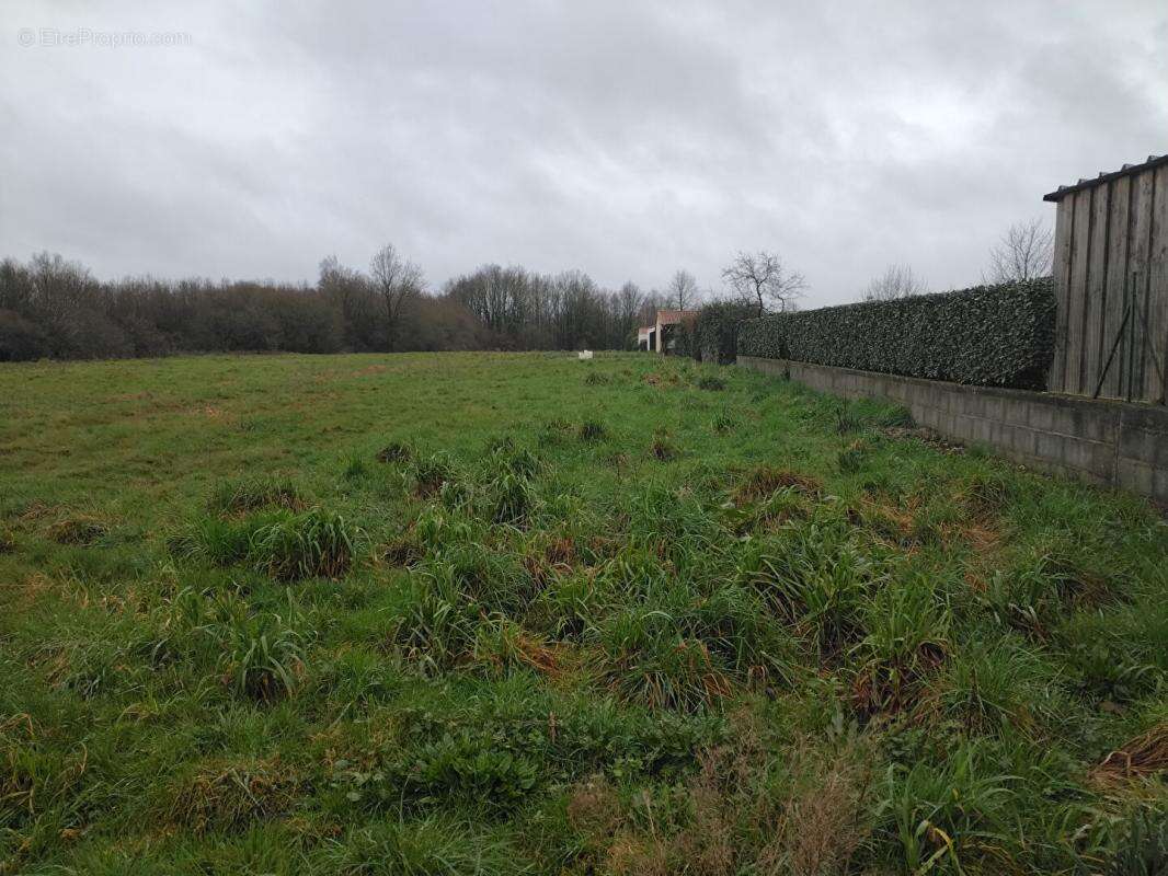 Terrain à La Marne - photo 2