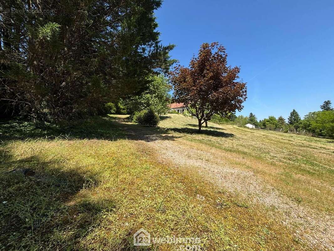 Une allée ombragée mène à... - Maison à VAUX-SUR-VIENNE