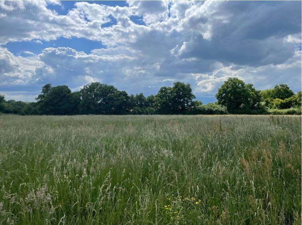 Terrain à SABLE-SUR-SARTHE