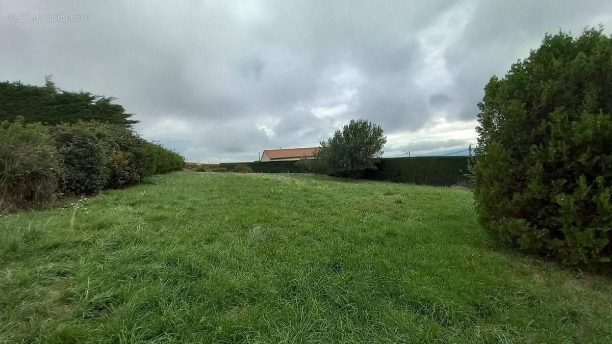 Terrain à SAINT-ROMAIN-DE-LERPS