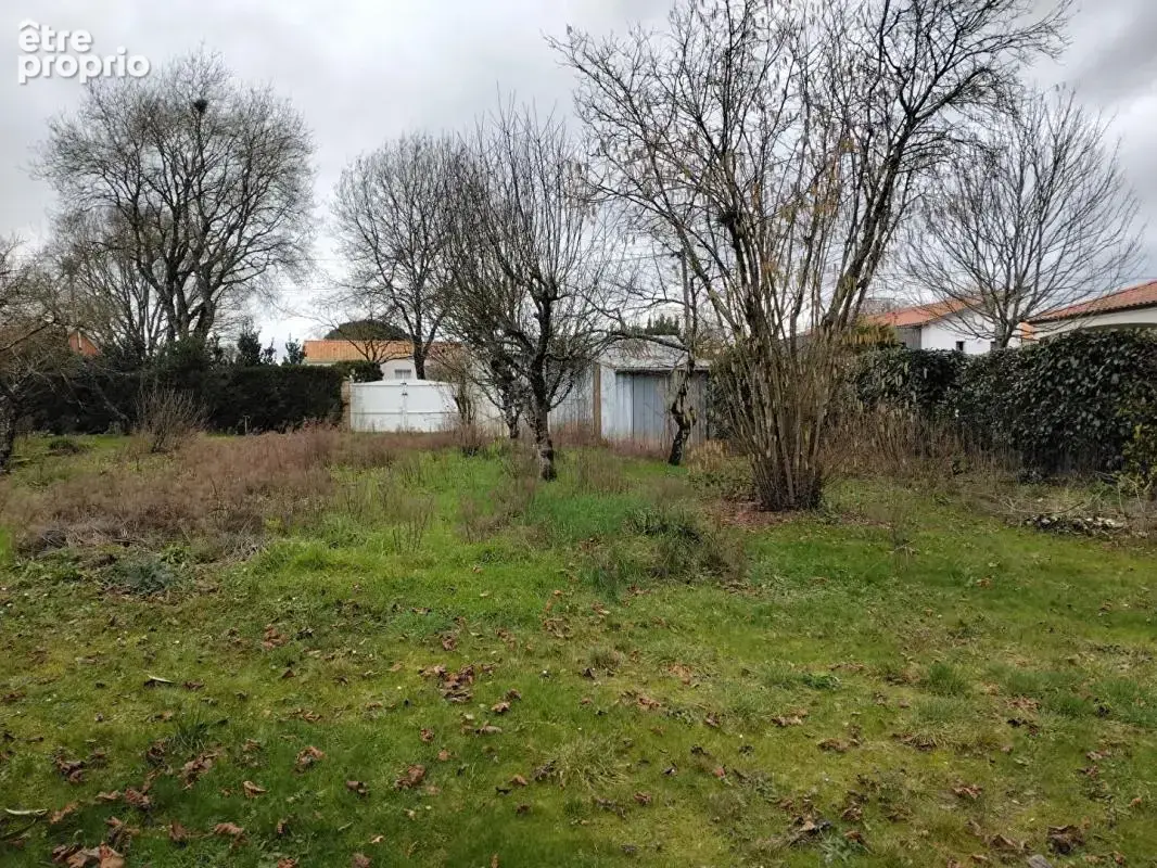 Terrain Sainte Pazanne 567 m2 - photo 4