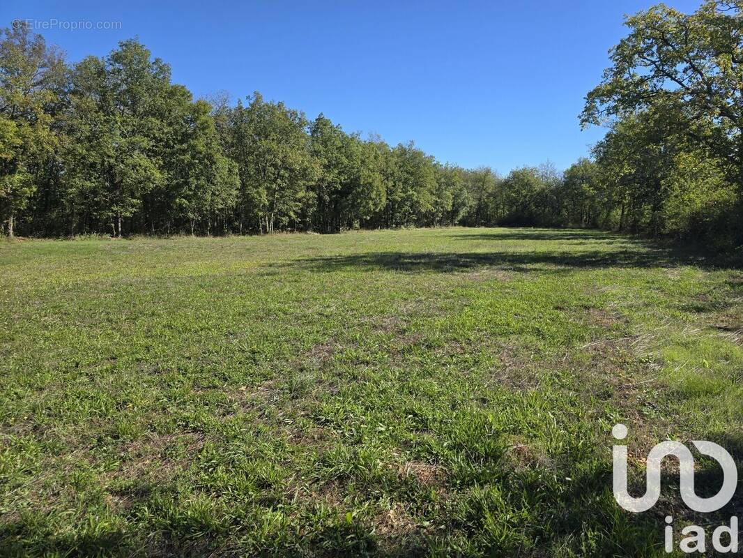 Photo 1 - Terrain à LALBENQUE