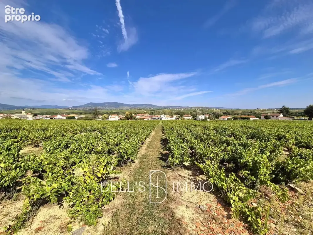 AOP BROUILLY, 3,60ha un seul tenant - photo 2