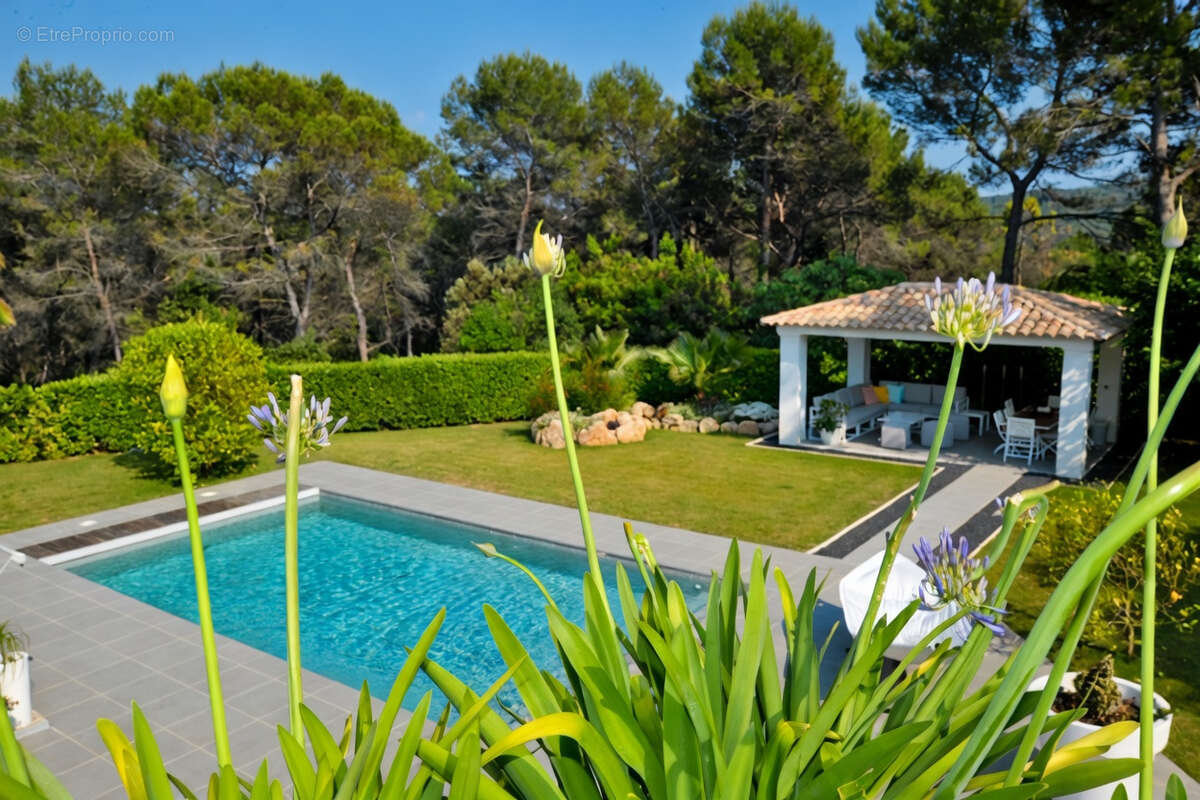 Merveilleuse Villa dans les parcs de Mougins - photo 13