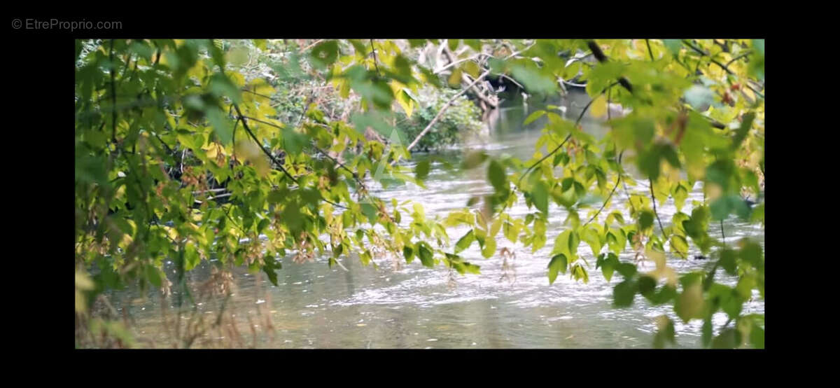 Territoire de chasse avec étang en Sologne - photo 6
