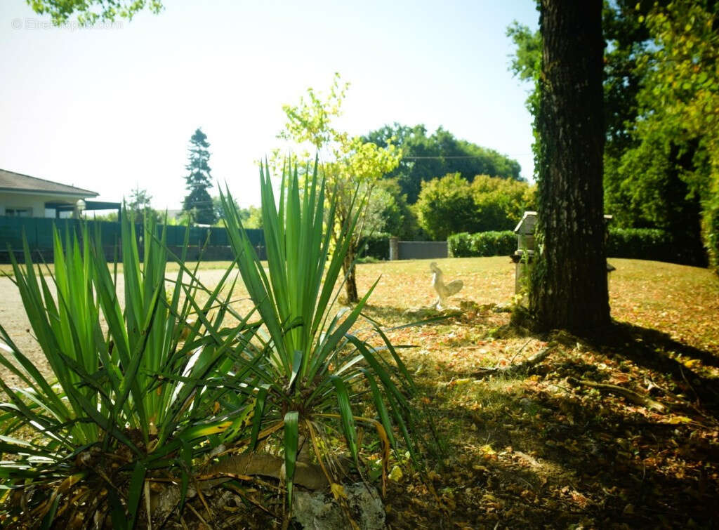 Maison à NEUVILLE-SUR-AIN