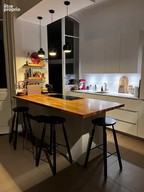 CHALLES LES EAUX Esprit Loft de 130 m2 et prestige historique dans un Château du XVI ème - photo 2