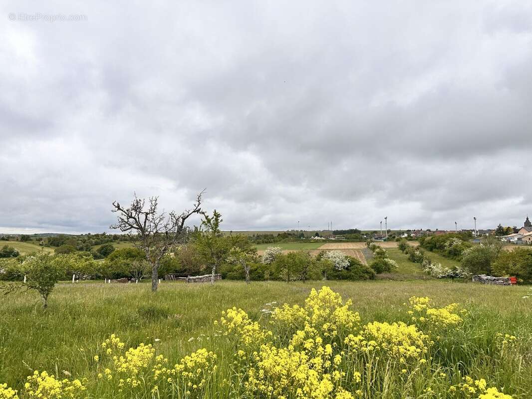 Terrain à NOUSSEVILLER-SAINT-NABOR