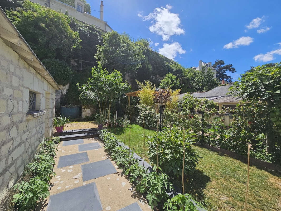 Maison à MONTSOREAU