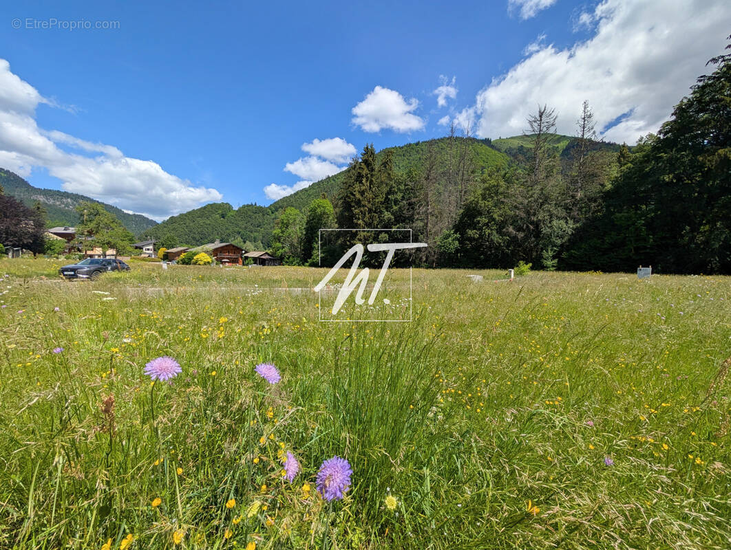 Terrain à MONTRIOND