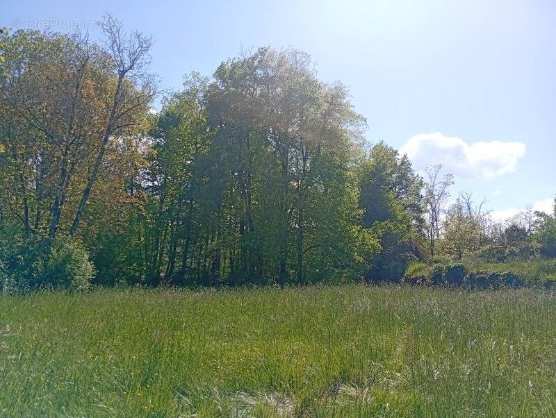 Terrain à CRAMPAGNA