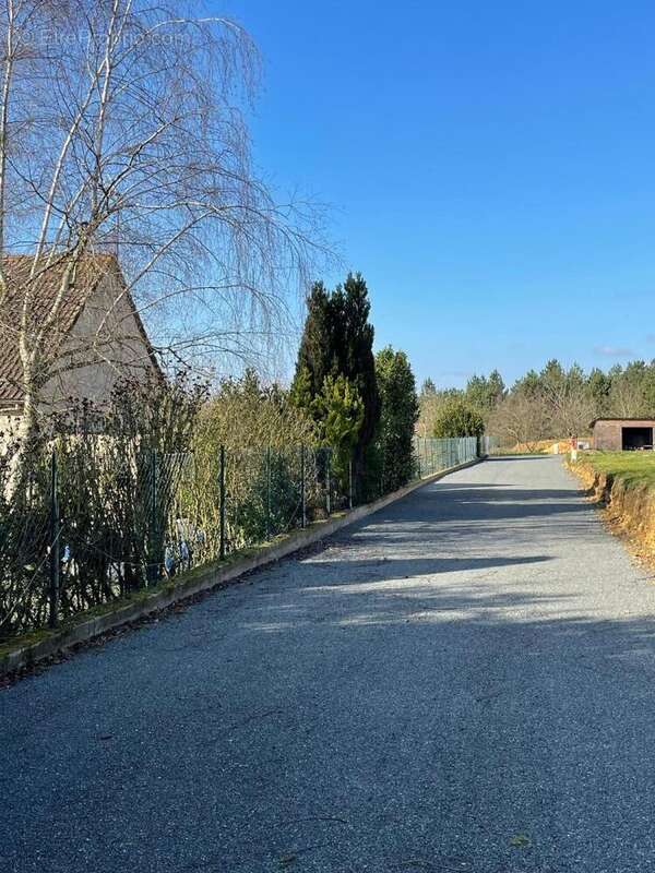 Terrain 655 m² à Connerre  - photo 2