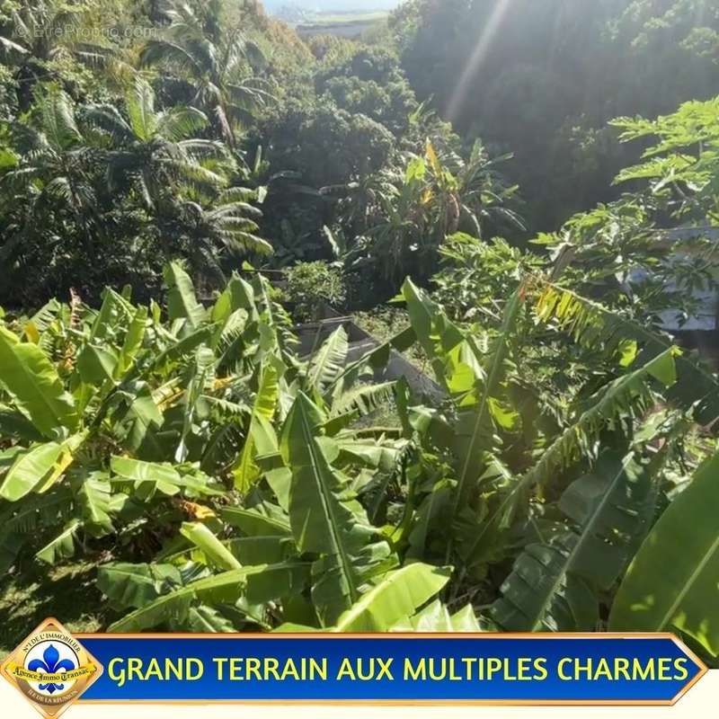 Maison à SAINTE-SUZANNE