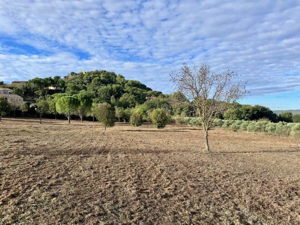 Terrain à ROGNES