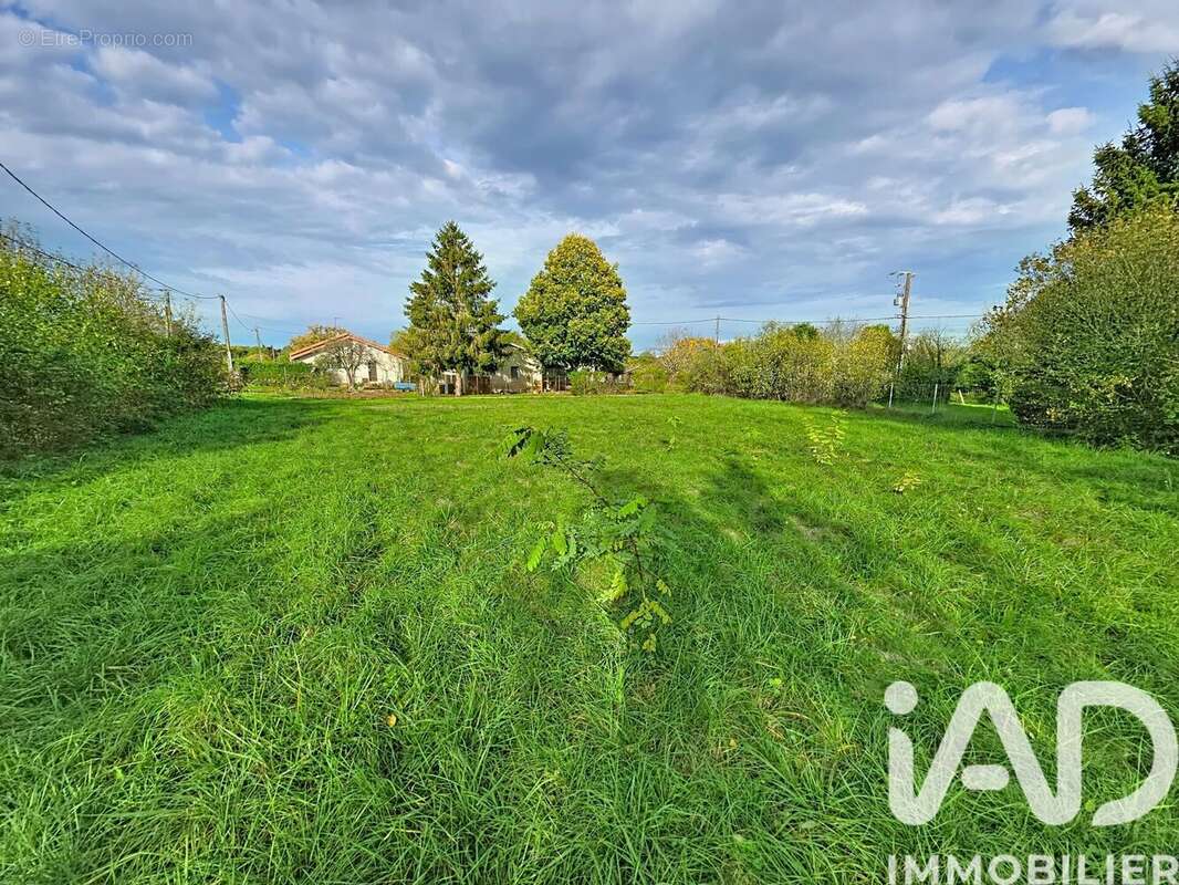 Photo 5 - Terrain à CHAZELLES