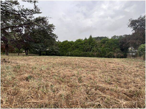 Terrain à RUELLE-SUR-TOUVRE