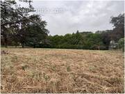 Terrain à RUELLE-SUR-TOUVRE