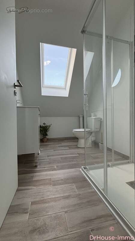 Maison à LA CHAPELLE-SAINT-MESMIN