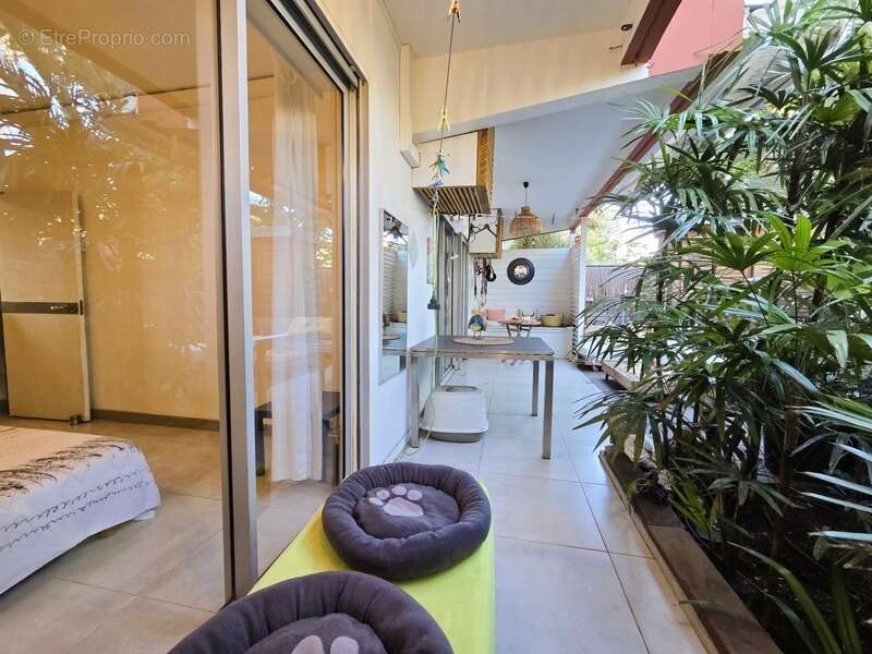 Superbe T3 en rez-de-jardin à L'Hermitage-les-Bains - photo 10