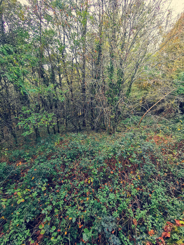 Terrain à TREIGNAC