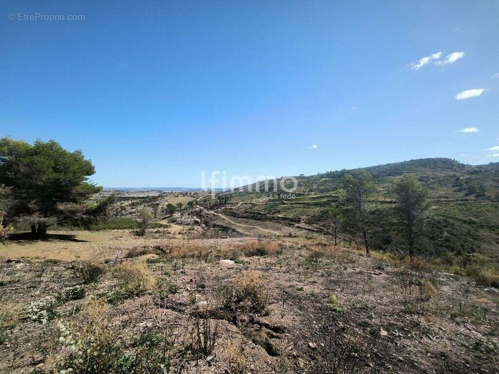 Terrain à MOUX