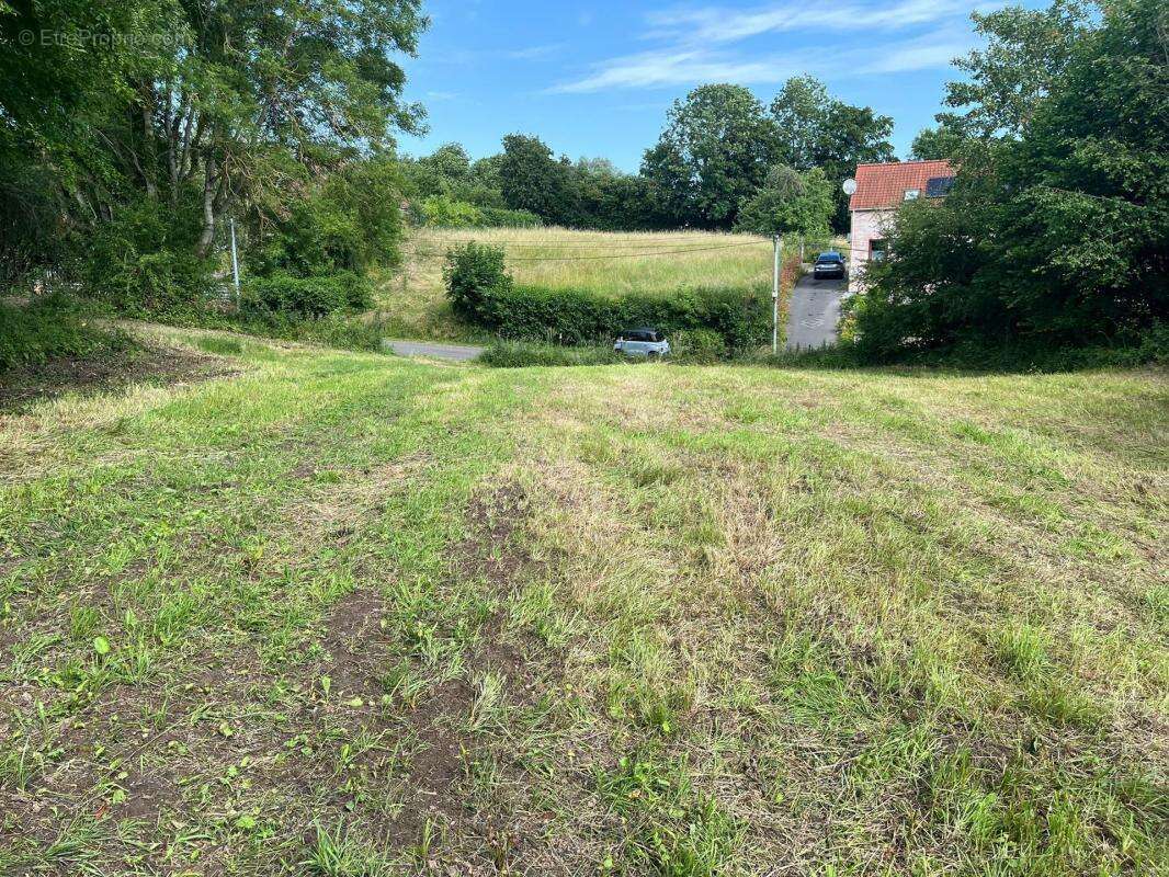 TERRAIN 1,31 HA OAP n°3 - Terrain à bâtir (projets) - photo 2