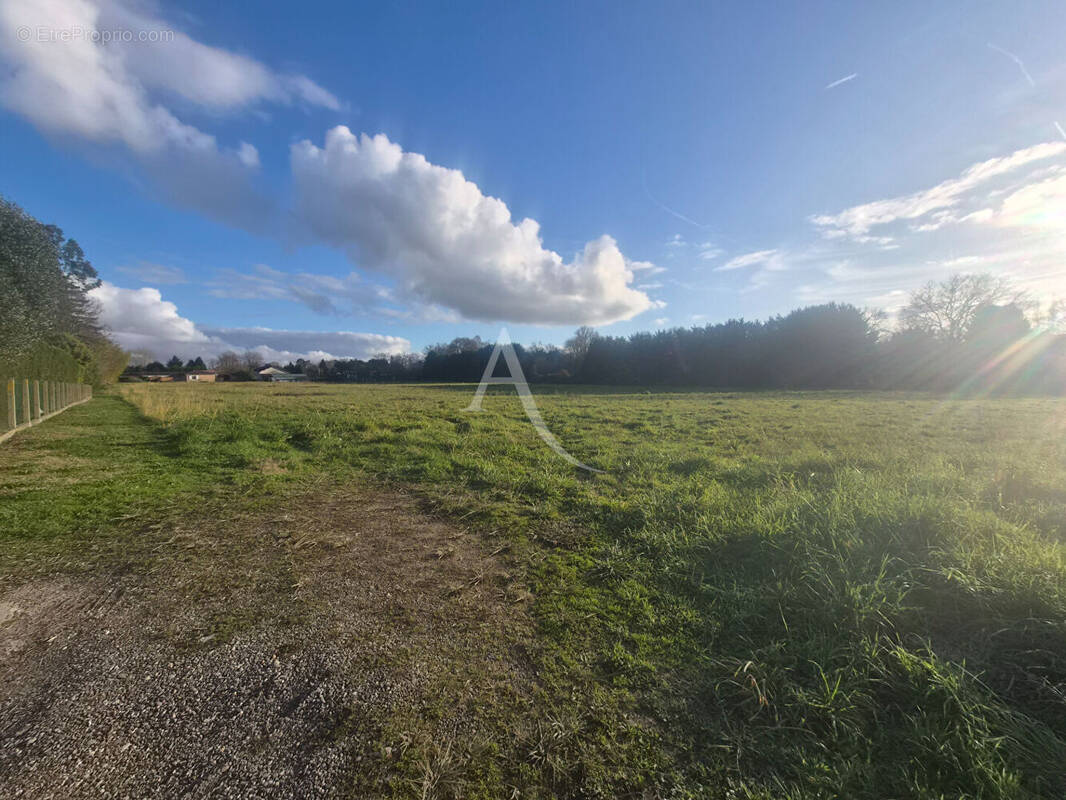 Terrain à VILLENEUVE-DE-MARSAN