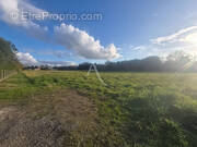 Terrain à VILLENEUVE-DE-MARSAN