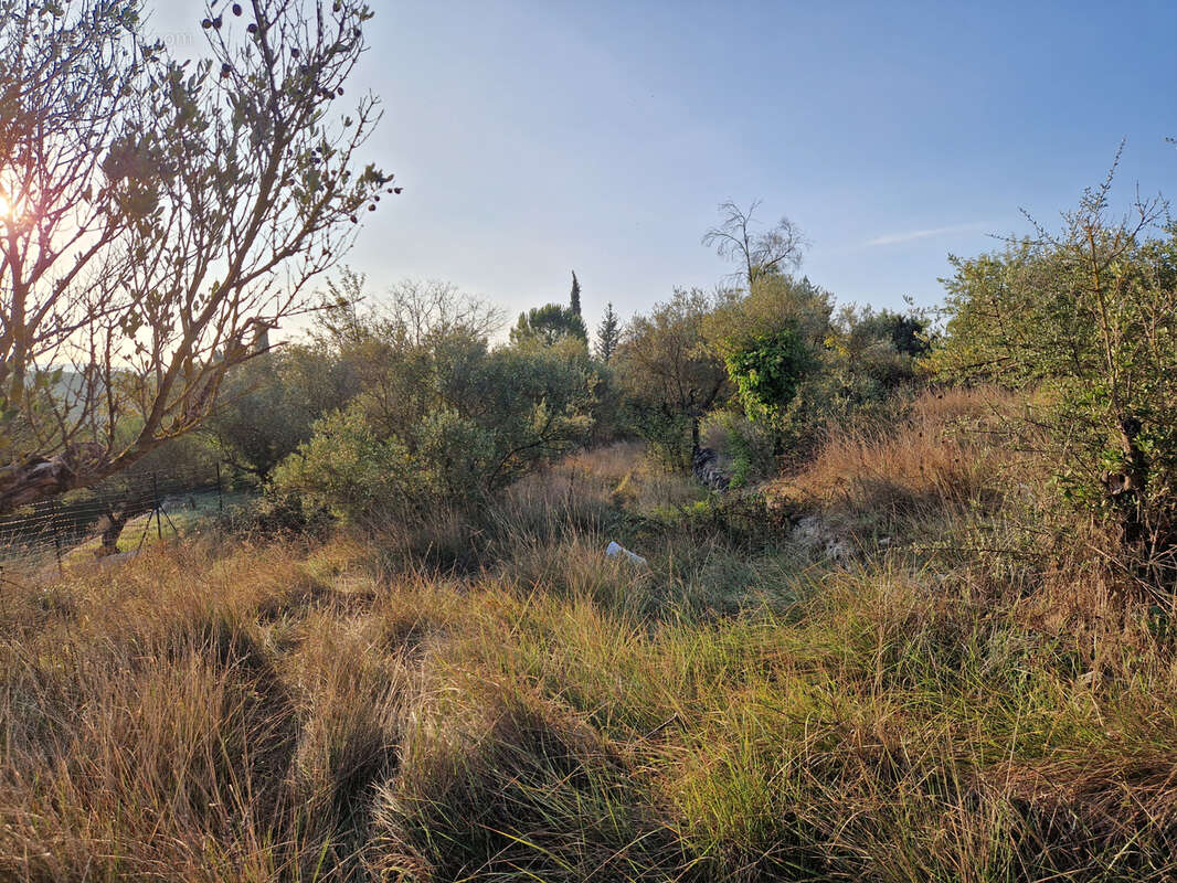 Terrain à LORGUES