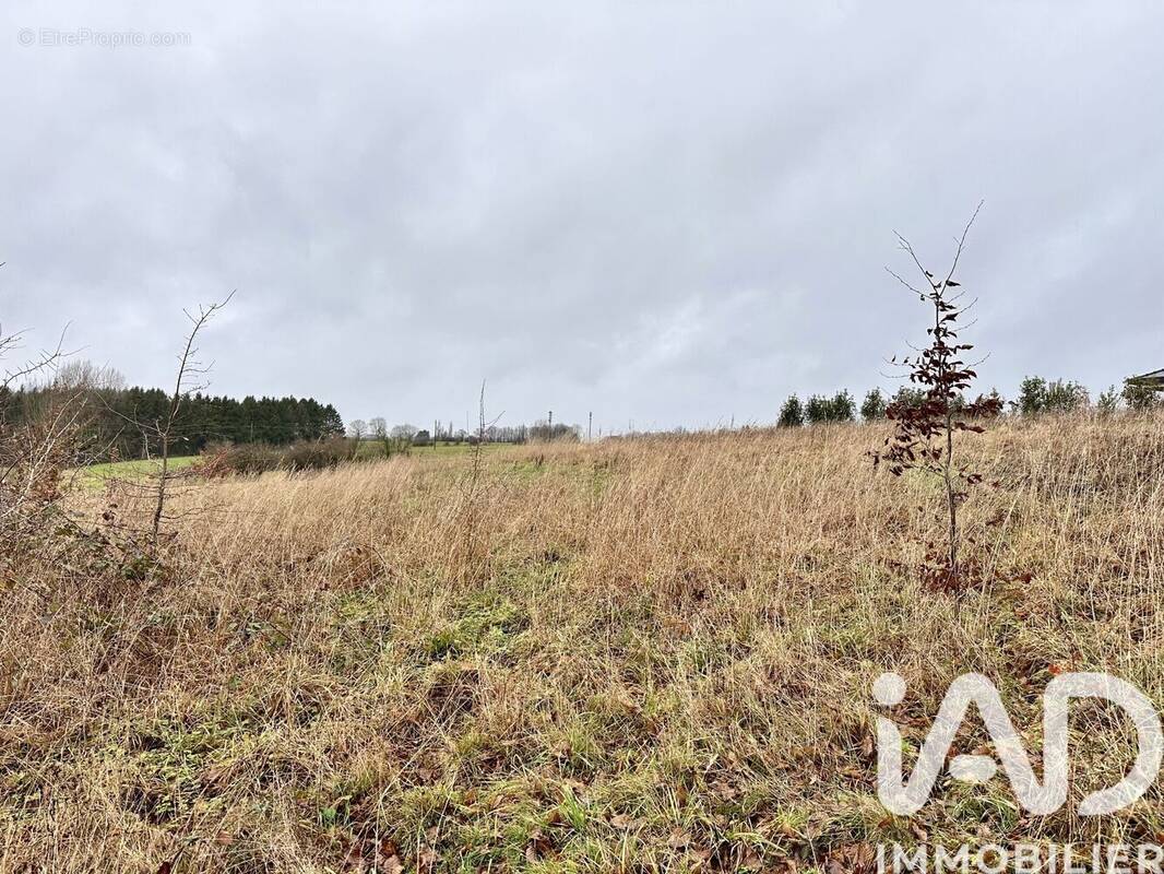 Photo 1 - Terrain à AUVILLERS-LES-FORGES