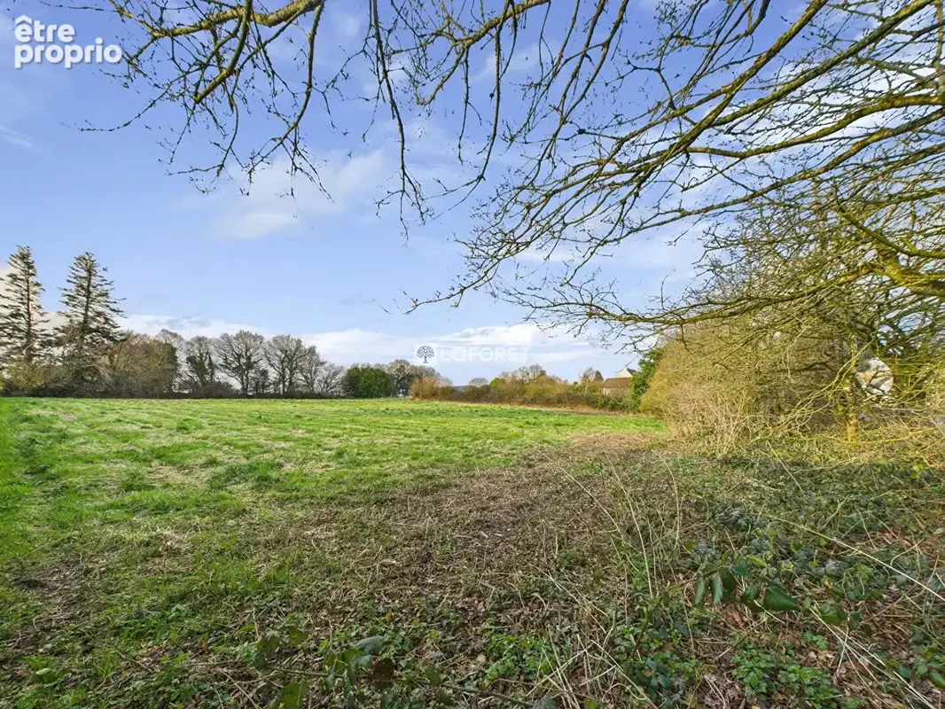 Terrain Laz 2206 m2 - photo 2
