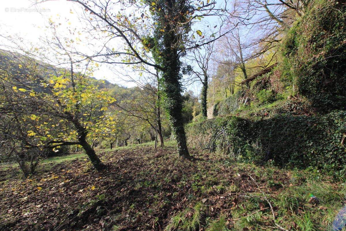 Maison à LES PLANTIERS