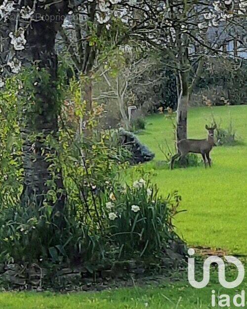 Photo 1 - Maison à ROTS