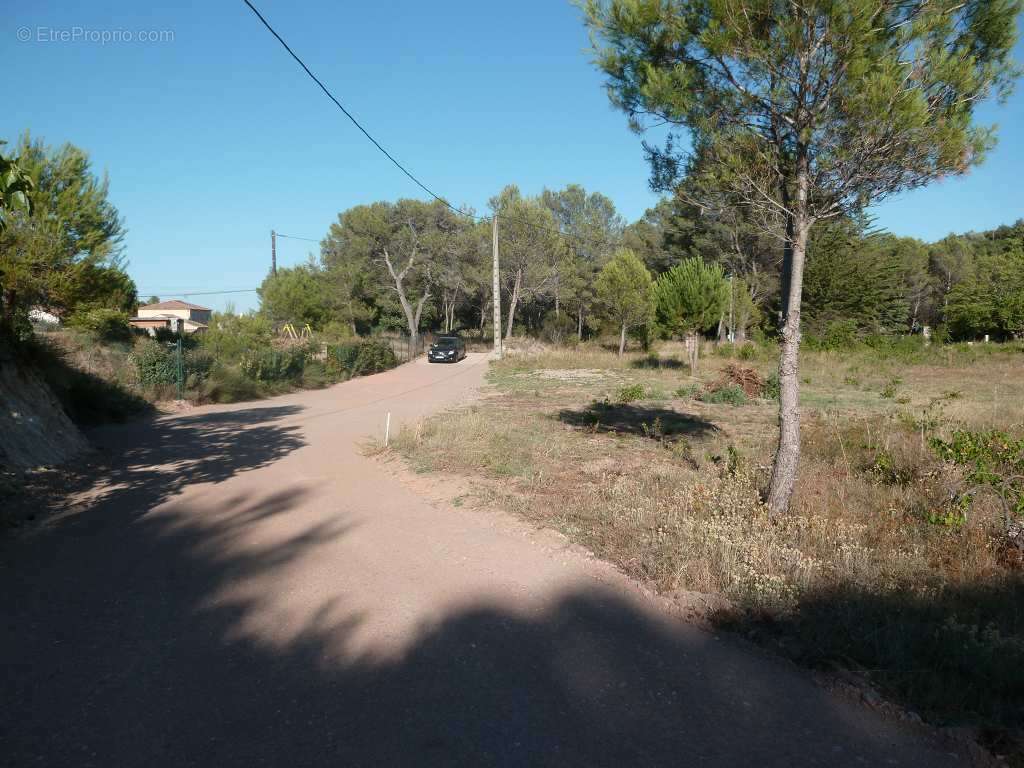 Terrain à CLERMONT-L&#039;HERAULT