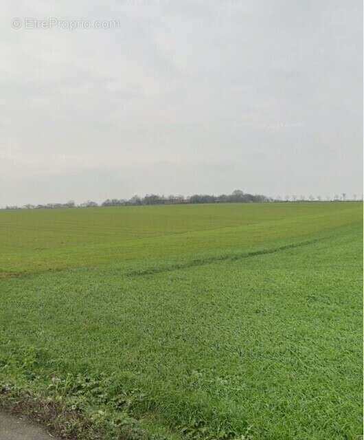 Terrain à VILLEDOUX