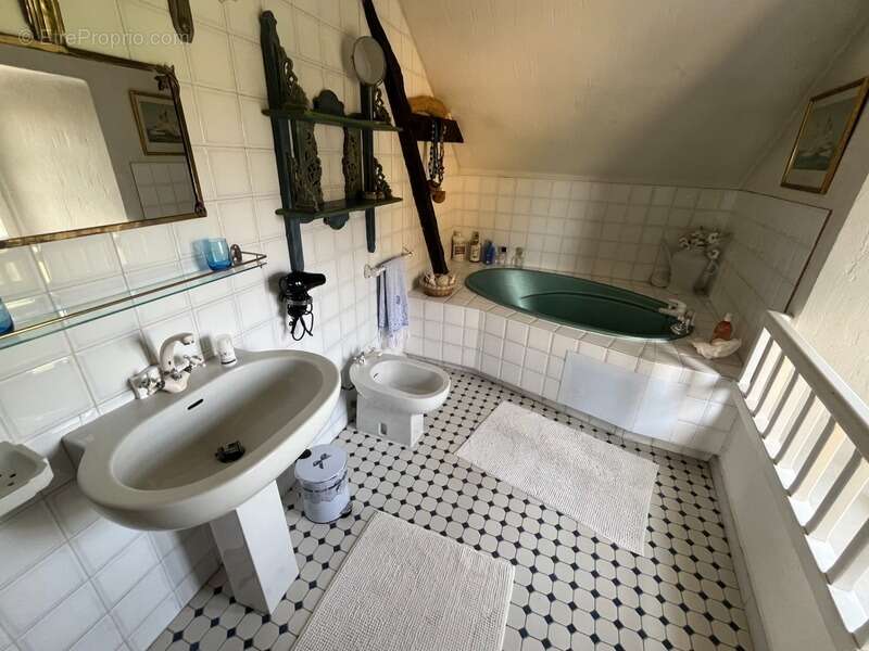 PLAISANCE DU GERS 10 min: ELEGANTE MAISON DE CARACTERE, restaurée par architecte, 320m2, 4700m2 en partie clos - photo 47