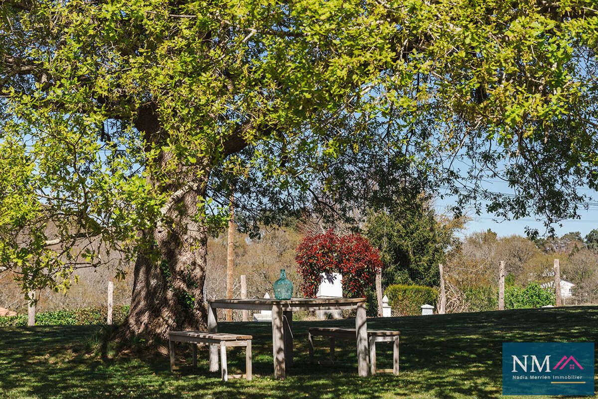 Maison à SAINT-PIERRE-D&#039;IRUBE