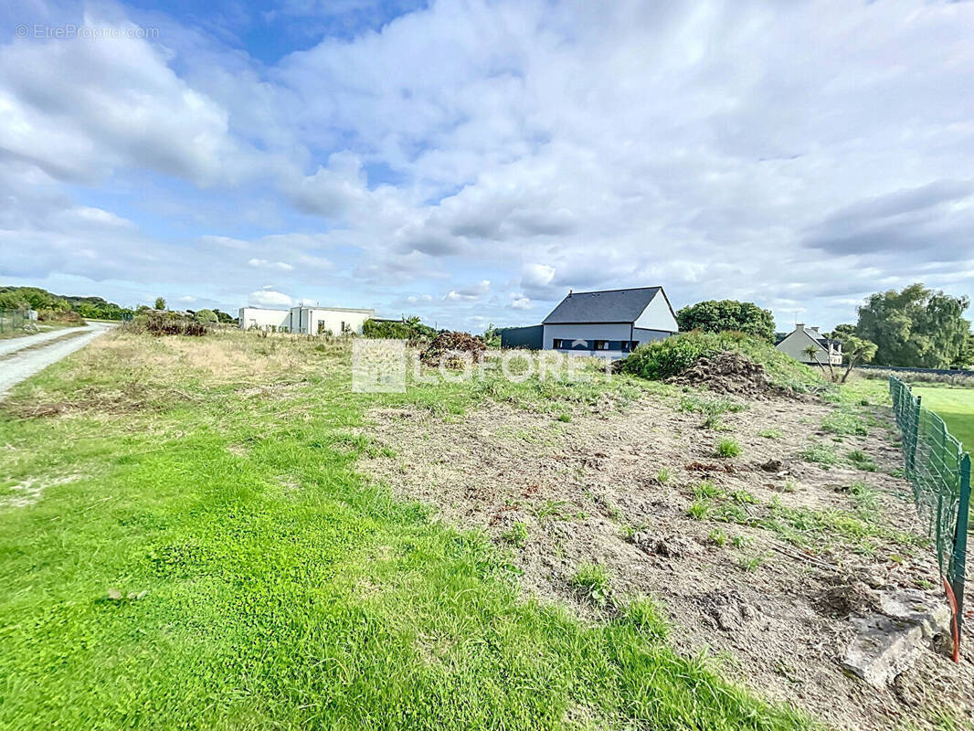 Terrain à LA CHAPELLE-GACELINE