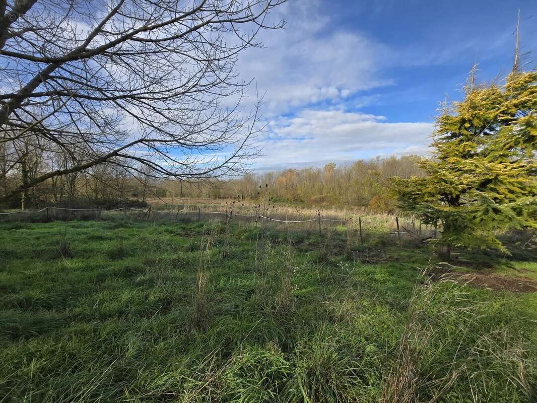 Maison à SAINT-MARTIN-LACAUSSADE