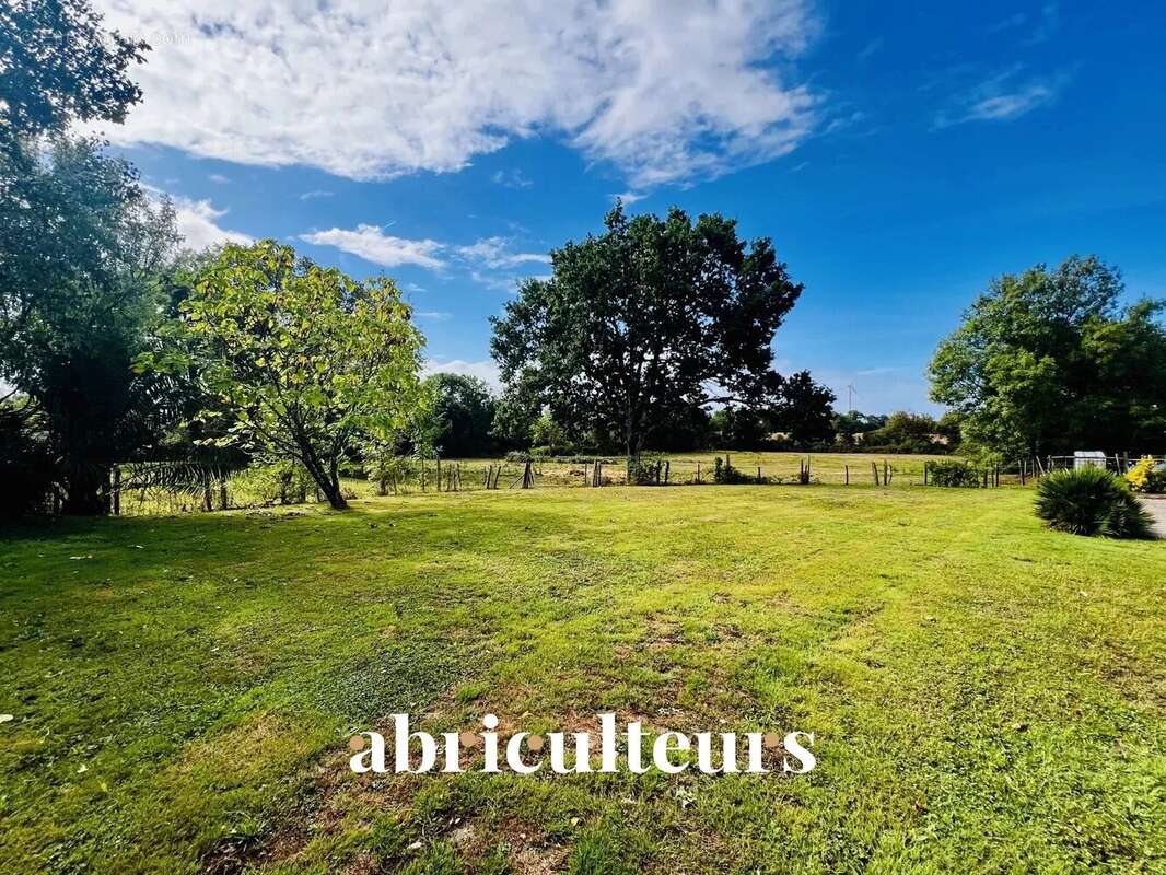 Maison à SAINT-HILAIRE-DE-CHALEONS