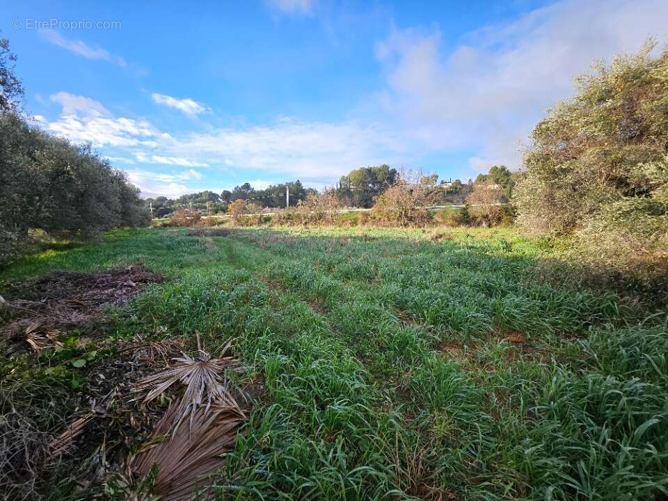 Terrain à ROQUEVAIRE