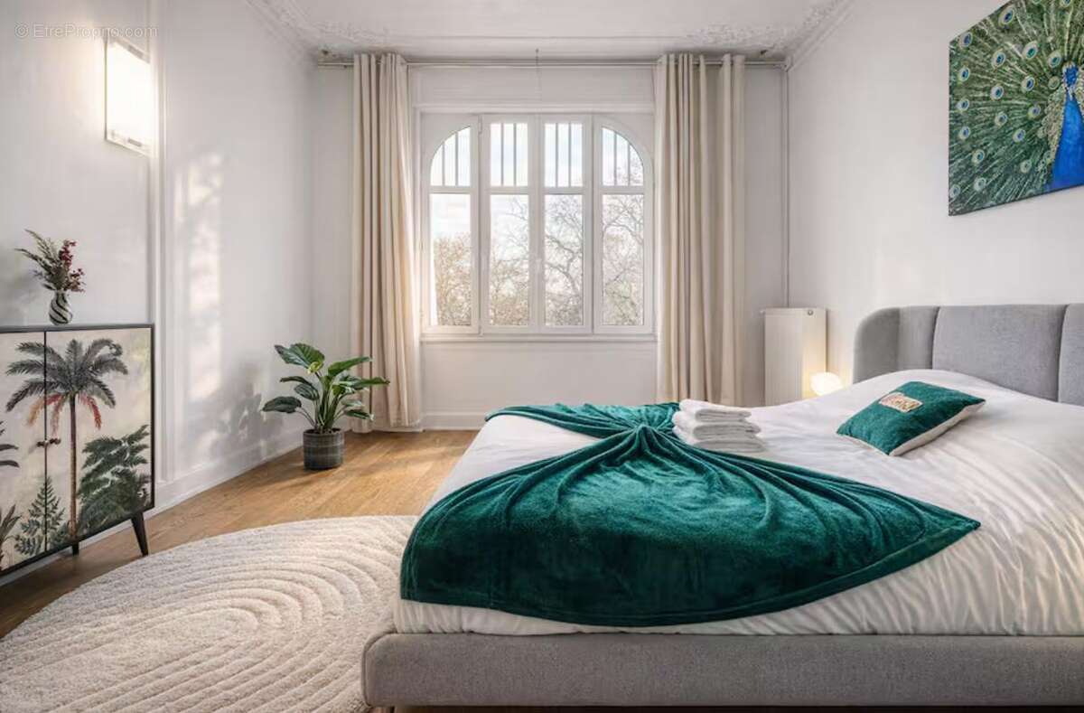 Commerce à STRASBOURG