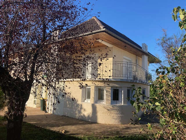 Maison d'architecte  6 pièce(s) 166 m2 - photo 3
