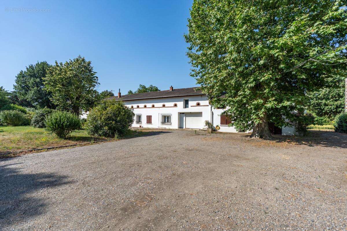 Maison 340 m² à Belberaud  - photo 2